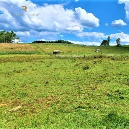Imagem Chácara à Venda, 20.000 m² em Gravataí Imagem Chácara à Venda, 20.000 m² em Gravataí