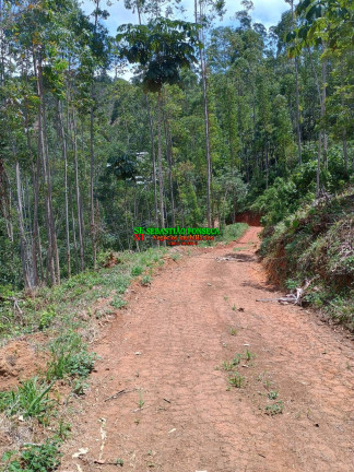 Chácara à Venda, 24.000 m² em Centro - Monteiro Lobato