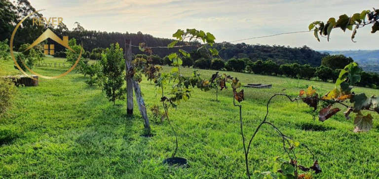Imagem Imóvel com 2 Quartos à Venda, 40.000 m² em Sousas - Campinas Imagem Imóvel com 2 Quartos à Venda, 40.000 m² em Sousas - Campinas