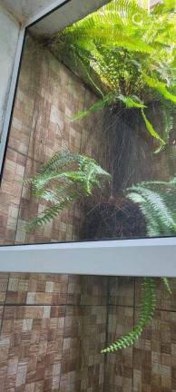 Imagem Casa com 3 Quartos à Venda, 135 m² em Jardim Sales - Jundiaí