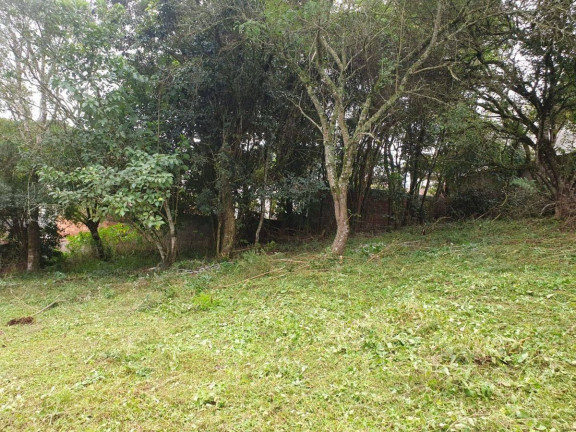 Terreno à Venda,  em Vila Rosa - Piraquara