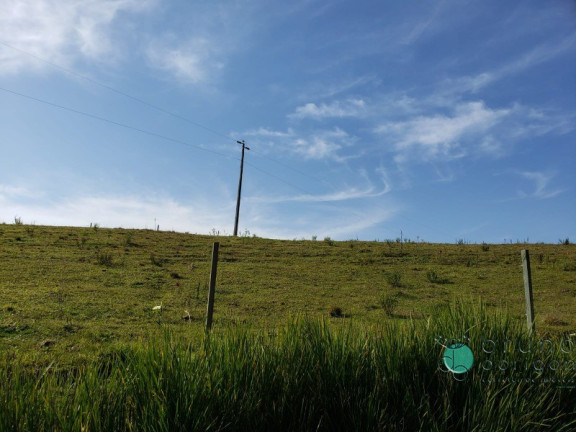 Imagem Imóvel à Venda, 27.000 m² em Zona Rural - Alfredo Wagner Imagem Imóvel à Venda, 27.000 m² em Zona Rural - Alfredo Wagner