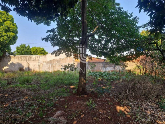 Imagem Terreno à Venda, 318 m² em Jardim São Paulo - Foz Do Iguacu Imagem Terreno à Venda, 318 m² em Jardim São Paulo - Foz Do Iguacu