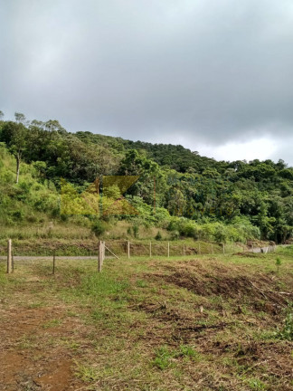 Imagem Fazenda à Venda, 64.288 m² em Barra Avencal - Rio Dos Cedros Imagem Fazenda à Venda, 64.288 m² em Barra Avencal - Rio Dos Cedros