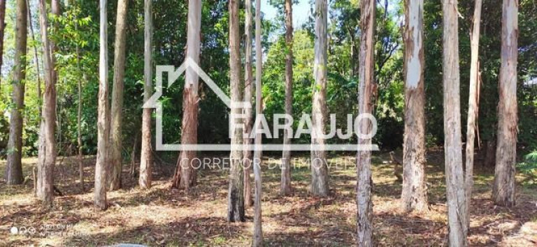 Imagem Imóvel com 3 Quartos à Venda, 5.250 m² em Campo Do Meio - Araçoiaba Da Serra