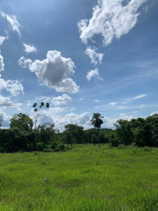 Imagem Fazenda à Venda, 22 m² em Zona Rural - Palmeiras De Goiás Imagem Fazenda à Venda, 22 m² em Zona Rural - Palmeiras De Goiás