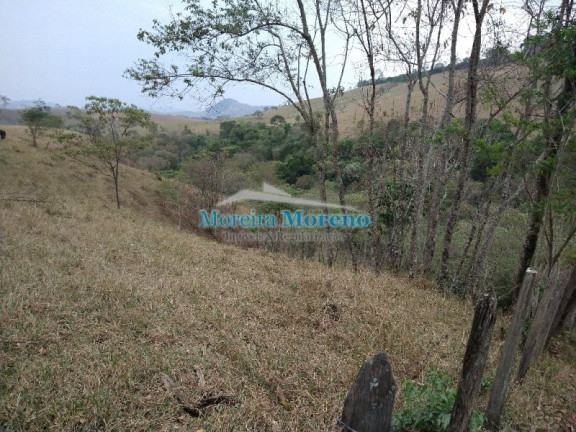 Imagem Imóvel à Venda, 5 m² em Zona Rural - Borda Da Mata Imagem Imóvel à Venda, 5 m² em Zona Rural - Borda Da Mata