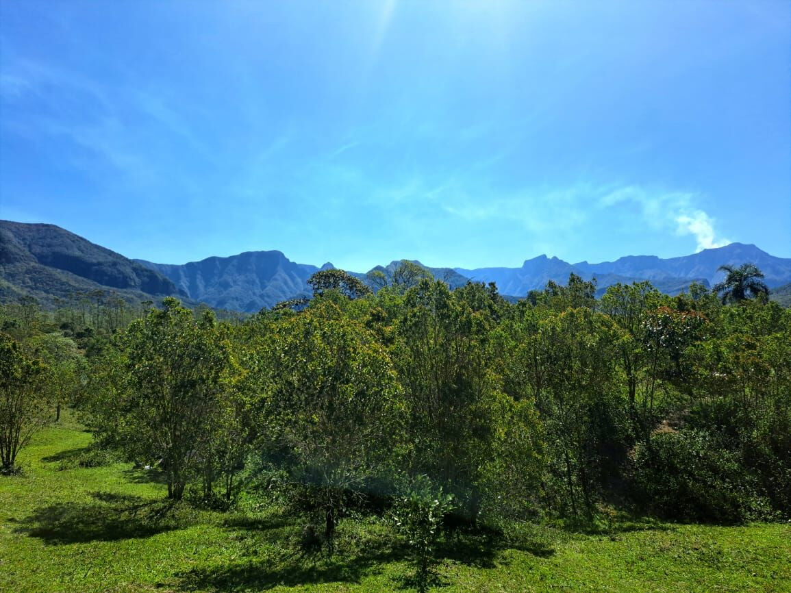 Imóvel à Venda, 21.000 m² em Centro - Treviso