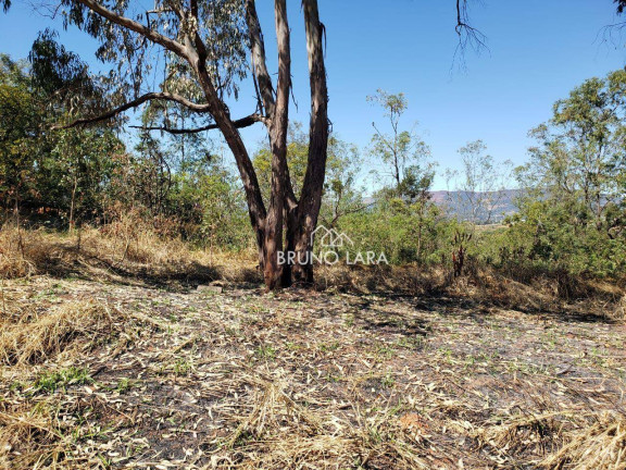 Imagem Terreno à Venda, 60.000 m² em Novo Igarapé - Igarapé