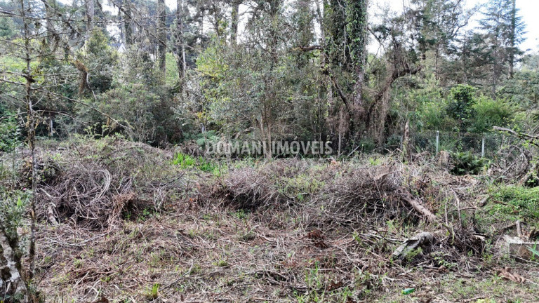 Imagem Terreno à Venda, 1.200 m² em Região De Capivari - Campos Do Jordão Imagem Terreno à Venda, 1.200 m² em Região De Capivari - Campos Do Jordão