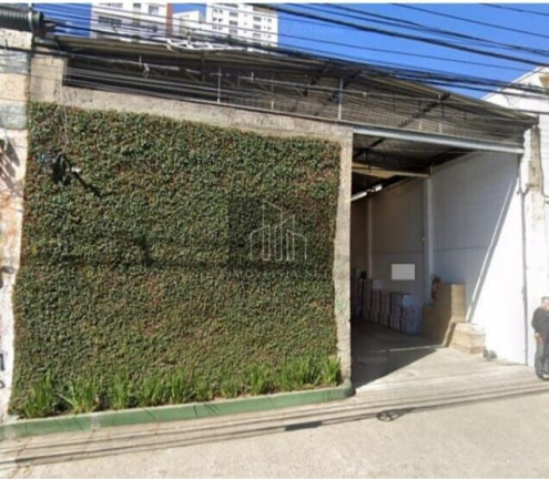 Sala Comercial para Alugar, 600 m² em Cambuci - São Paulo