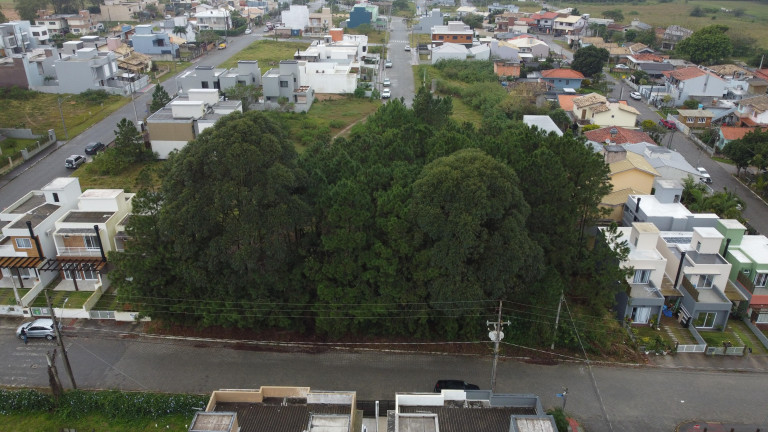 Imagem Terreno à Venda, 687 m² em Ambrósio - Garopaba Imagem Terreno à Venda, 687 m² em Ambrósio - Garopaba