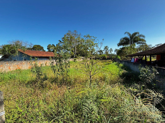 Imagem Terreno à Venda, 630 m² em Pinheiros - Balneário Barra Do Sul Imagem Terreno à Venda, 630 m² em Pinheiros - Balneário Barra Do Sul