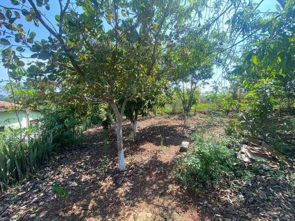 Imagem Fazenda à Venda, 18.000 m² em Limeira - Rio Manso Imagem Fazenda à Venda, 18.000 m² em Limeira - Rio Manso