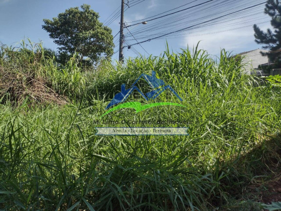 Imagem Terreno à Venda, 175 m² em Nova Cerejeira - Atibaia Imagem Terreno à Venda, 175 m² em Nova Cerejeira - Atibaia