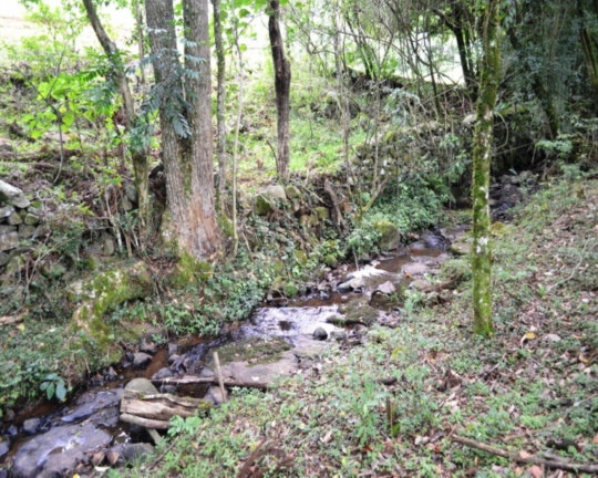 Imagem Imóvel à Venda,  em Linha Imperial - Nova Petrópolis