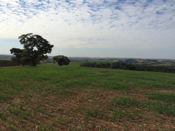 Imagem Imóvel à Venda, em área Rural De Itapetininga - Itapetininga Imagem Imóvel à Venda, em área Rural De Itapetininga - Itapetininga