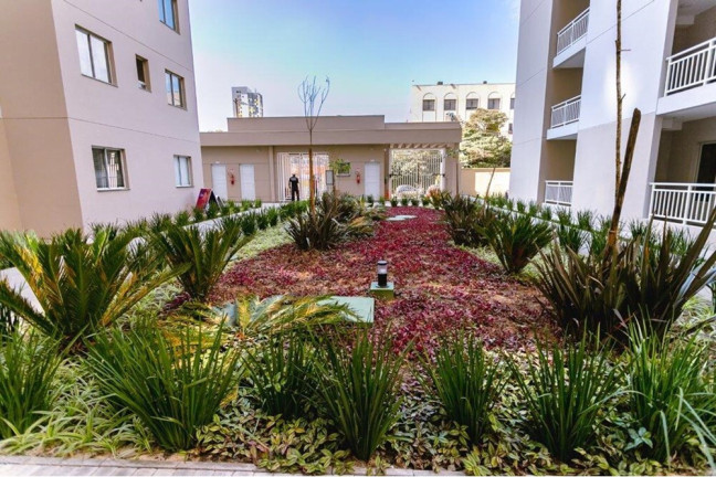 Imagem Apartamento com 2 Quartos à Venda, 46 m² em Várzea Da Barra Funda - São Paulo Imagem Apartamento com 2 Quartos à Venda, 46 m² em Várzea Da Barra Funda - São Paulo