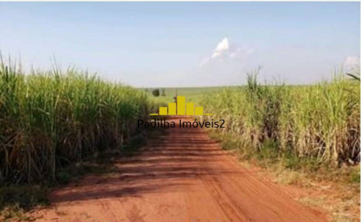 Imagem Fazenda à Venda, 698 m² em Centro - Teodoro Sampaio