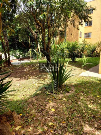 Imagem Apartamento com 2 Quartos à Venda, 55 m² em Jardim Alvorada - Santo André Imagem Apartamento com 2 Quartos à Venda, 55 m² em Jardim Alvorada - Santo André