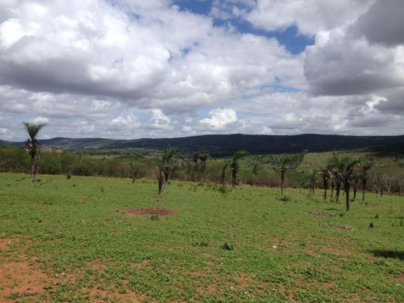 Imagem Fazenda à Venda, 200 m² em Br 116 - Euclides Da Cunha Imagem Fazenda à Venda, 200 m² em Br 116 - Euclides Da Cunha