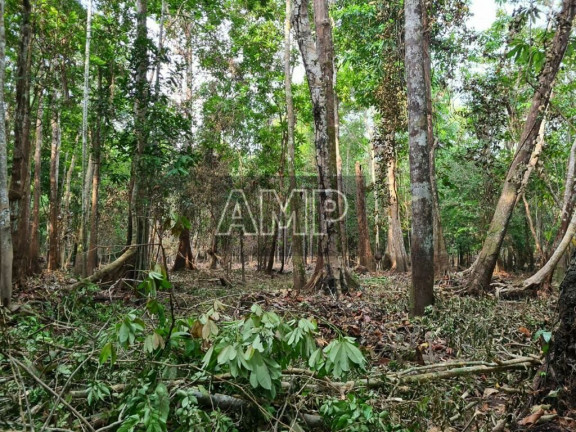 Imagem Terreno à Venda, 45.000 m² em Centro - Iranduba Imagem Terreno à Venda, 45.000 m² em Centro - Iranduba