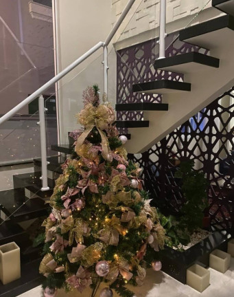 Imagem Casa com 4 Quartos à Venda, 375 m² em Alphaville - Santana De Parnaíba