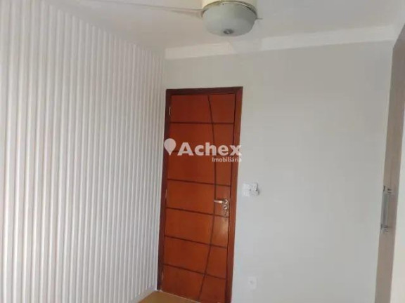 Imagem Apartamento com 3 Quartos à Venda, 65 m² em Conjunto Residencial Parque Bandeirantes - Campinas