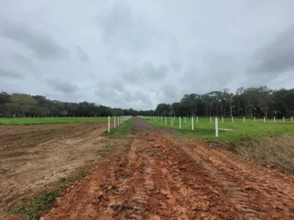 Imagem Imóvel à Venda, 22.233 m² em Colonia Quintilha - Paranagua Imagem Imóvel à Venda, 22.233 m² em Colonia Quintilha - Paranagua