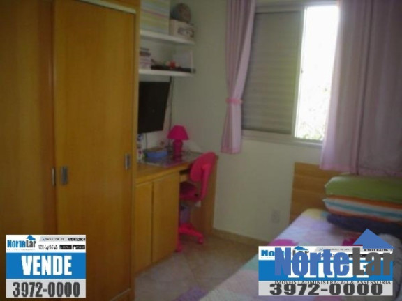 Imagem Apartamento com 3 Quartos à Venda, 58 m² em Vila Amélia - São Paulo