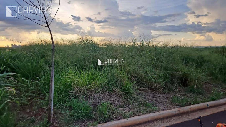 Terreno à Venda, 300 m² em Recreio Anhangüera - Ribeirão Preto