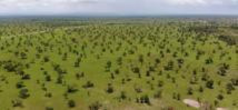 Imagem Fazenda à Venda, 3.100 m² em Rural - Porto Alegre Do Norte Imagem Fazenda à Venda, 3.100 m² em Rural - Porto Alegre Do Norte
