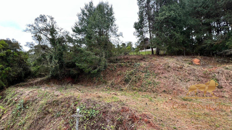 Imagem Terreno à Venda, 6.500 m² em Alto Da Vila Inglesa - Campos Do Jordão Imagem Terreno à Venda, 6.500 m² em Alto Da Vila Inglesa - Campos Do Jordão
