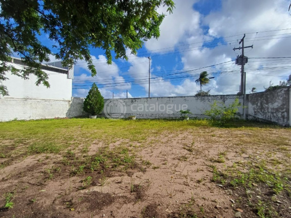 Imagem Terreno à Venda, 23.650 m² em Igapó - Natal Imagem Terreno à Venda, 23.650 m² em Igapó - Natal