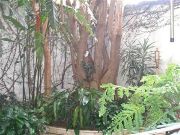 Imagem Casa com 3 Quartos à Venda, 280 m² em Jardim Das Acácias - São Paulo Imagem Casa com 3 Quartos à Venda, 280 m² em Jardim Das Acácias - São Paulo