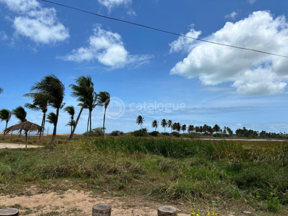 Imagem Terreno à Venda, 2.400 m² em Praia Da Xepa - São Miguel Do Gostoso Imagem Terreno à Venda, 2.400 m² em Praia Da Xepa - São Miguel Do Gostoso