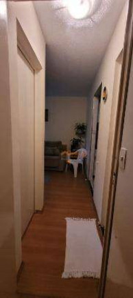 Imagem Casa com 2 Quartos à Venda, 38 m² em Jardim Maria Dirce - Guarulhos Imagem Casa com 2 Quartos à Venda, 38 m² em Jardim Maria Dirce - Guarulhos