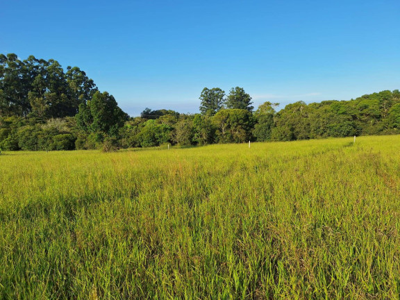 Imagem Terreno à Venda, 318 m² em águas Claras - Viamão Imagem Terreno à Venda, 318 m² em águas Claras - Viamão