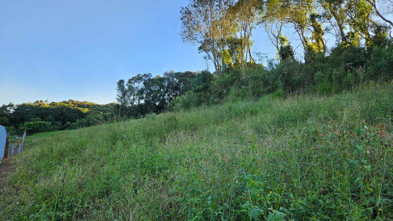 Imagem Fazenda à Venda, em Zona Rural - Araucaria Imagem Fazenda à Venda, em Zona Rural - Araucaria