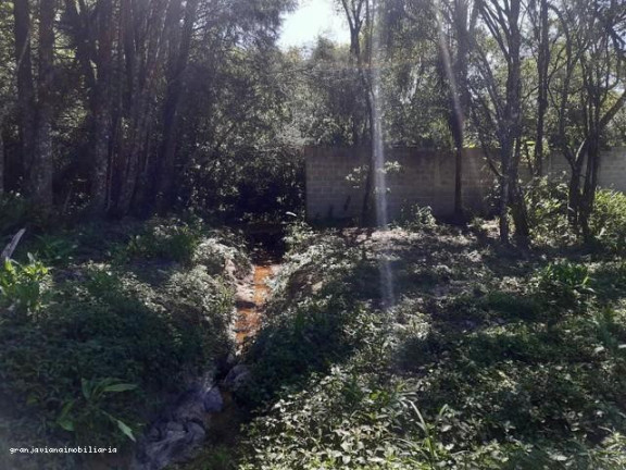 Imagem Chácara à Venda, em Consultar - Ibiúna Imagem Chácara à Venda, em Consultar - Ibiúna