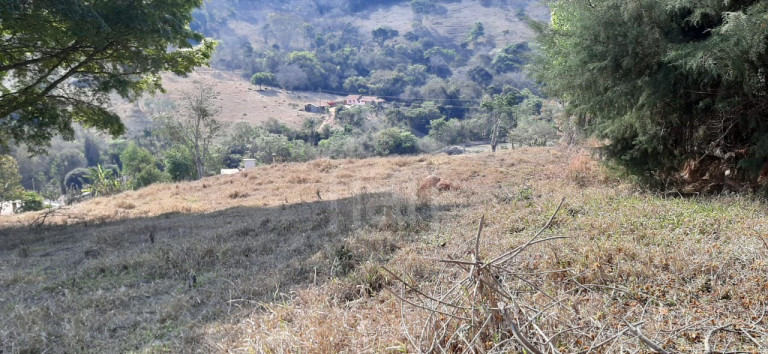 Imagem Imóvel com 1 Quarto à Venda, 2.156 m² em Bairro Marambaia (rural) - Bandeira Do Sul
