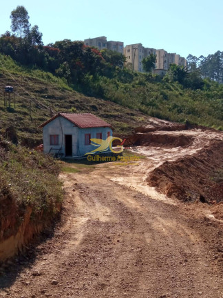 Imagem Chácara com 1 Quarto à Venda, 30.000 m² em Tejuco - São João Del Rei