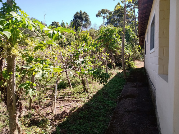 Imagem Imóvel com 2 Quartos à Venda, 2.100 m² em Bairro Roseira (rural) - Campestre