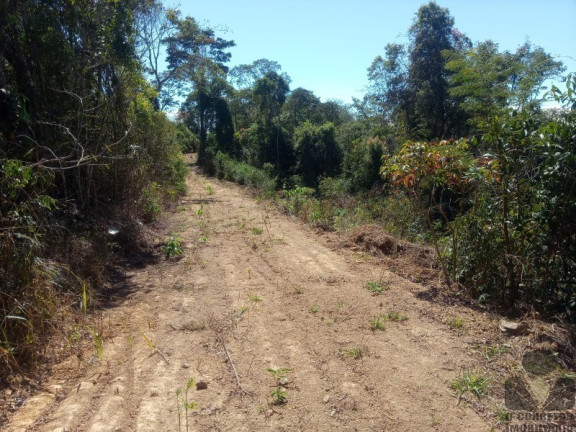 Imagem Imóvel à Venda, 20.000 m² em Roças Novas (caeté - Mg) - Caeté Imagem Imóvel à Venda, 20.000 m² em Roças Novas (caeté - Mg) - Caeté