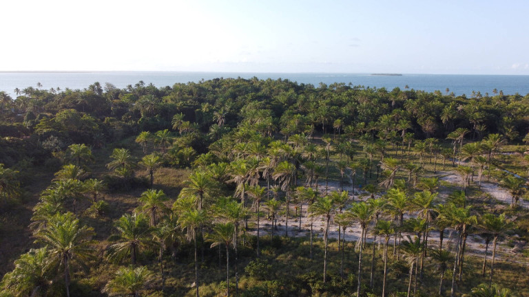 Imagem Terreno à Venda, 2.900 m² em Barra Grande - Marau Imagem Terreno à Venda, 2.900 m² em Barra Grande - Marau