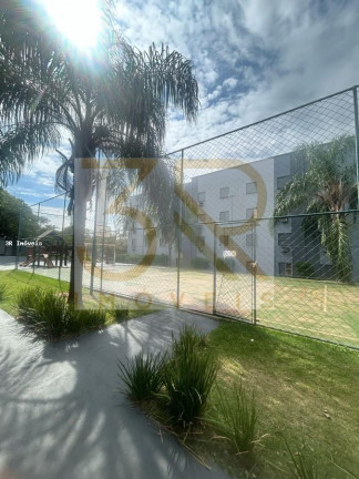 Imagem Apartamento com 2 Quartos à Venda, 41 m² em Jardim Maria Goretti - Ribeirão Preto Imagem Apartamento com 2 Quartos à Venda, 41 m² em Jardim Maria Goretti - Ribeirão Preto