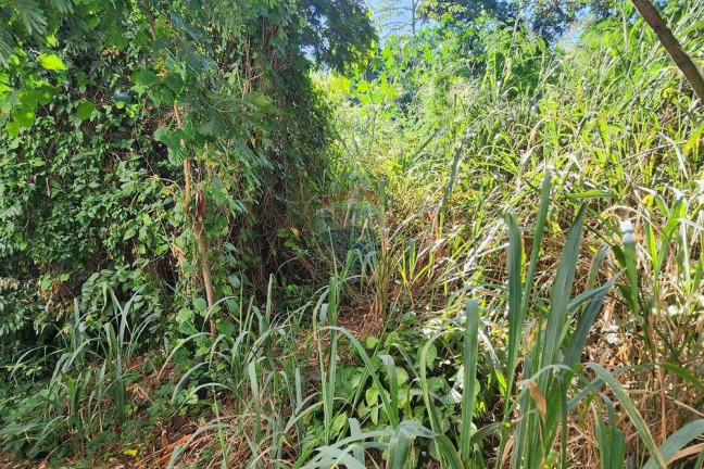 Imagem Terreno à Venda, 950 m² em Centro - Maricá