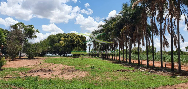 Fazenda à Venda, 198 m² em Comendador Gomes