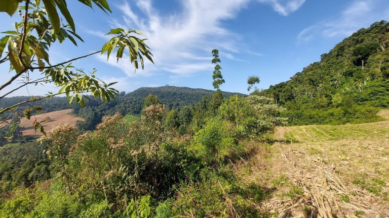 Imagem Terreno à Venda, 198.000 m² em Zona Rural - Presidente Nereu Imagem Terreno à Venda, 198.000 m² em Zona Rural - Presidente Nereu