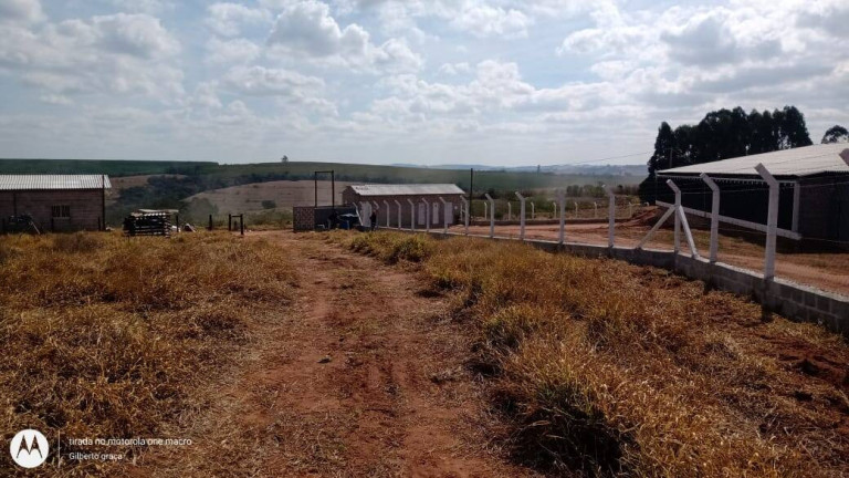 Imagem Chácara com 3 Quartos à Venda, 774 m² em Zona Rural - Alambari